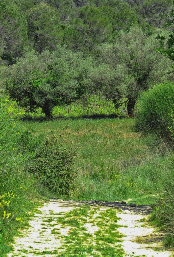 La Bastide De Canaules Екстериор снимка
